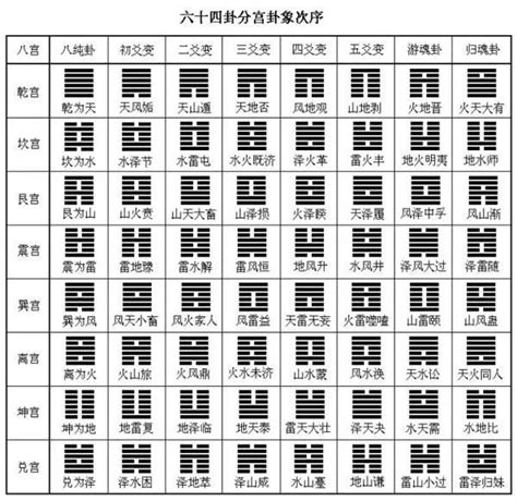 離卦代表|易經第三十卦